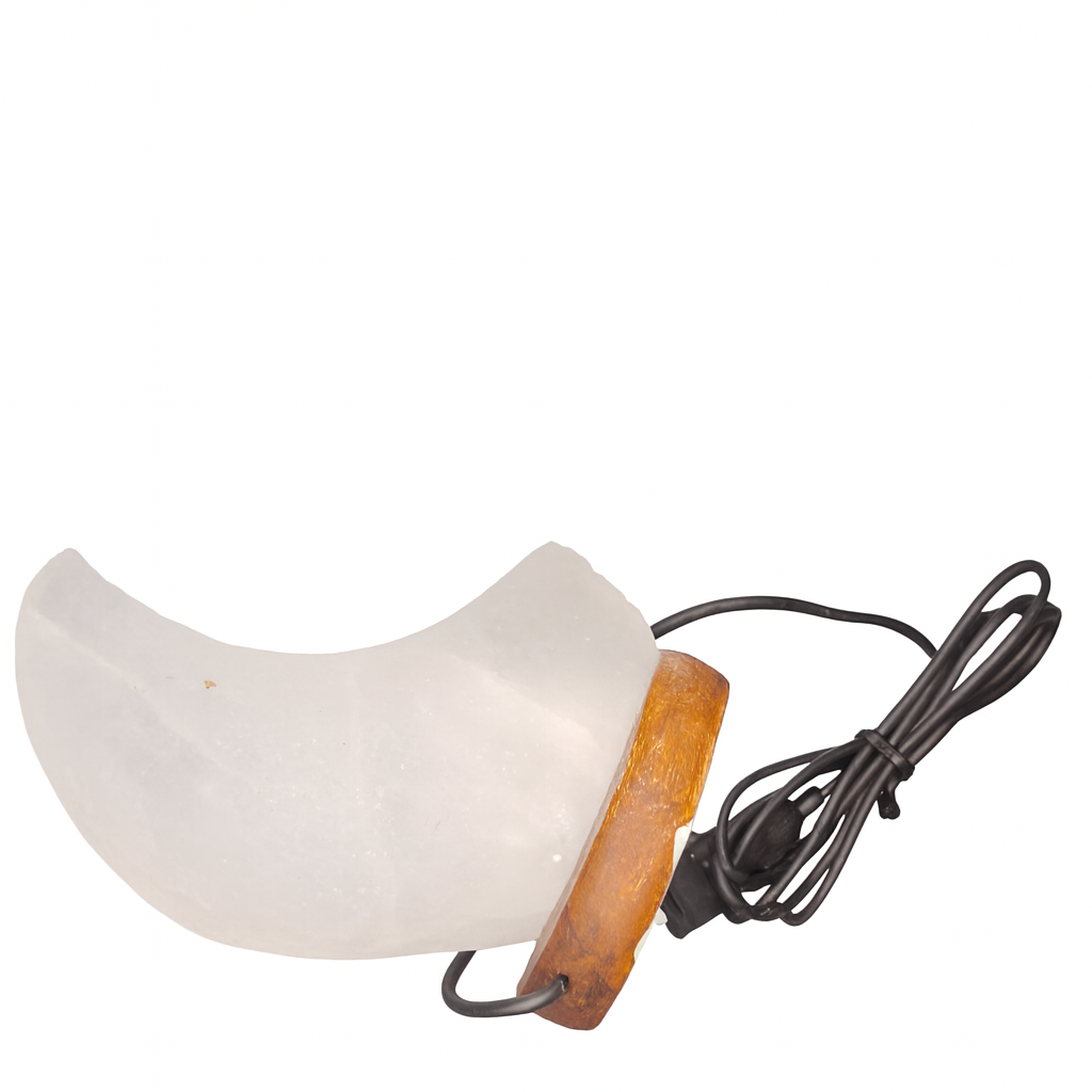 Light fixture with white shade and wooden base on a white background