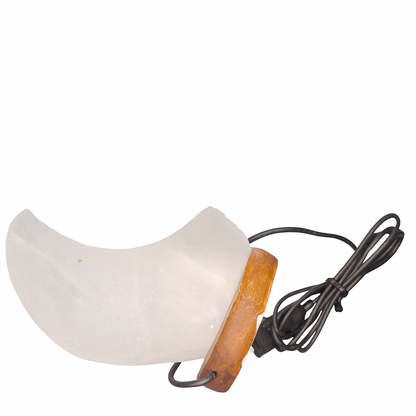 Light fixture with white shade and wooden base on a white background